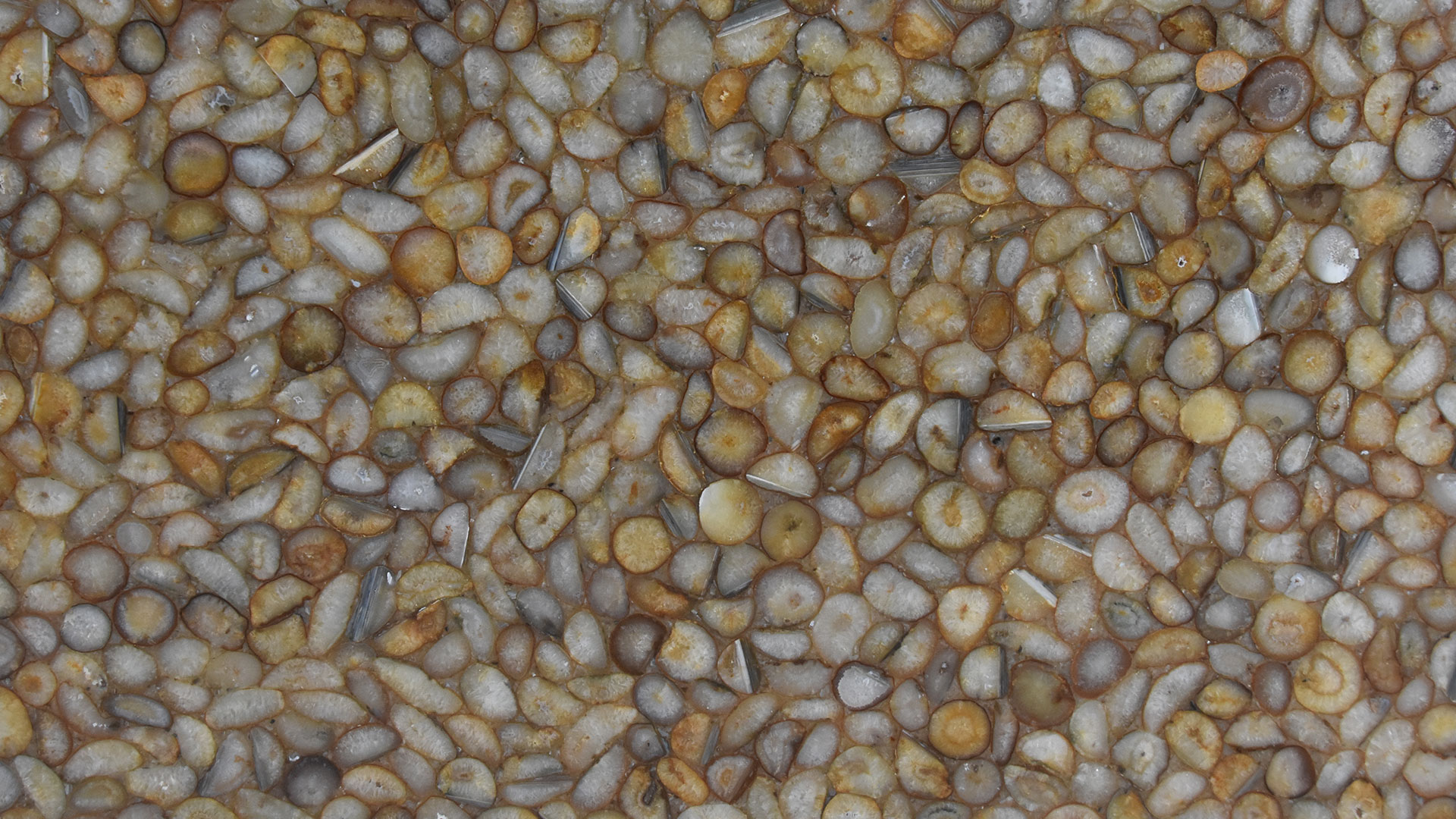Agate Gold Agate Gold